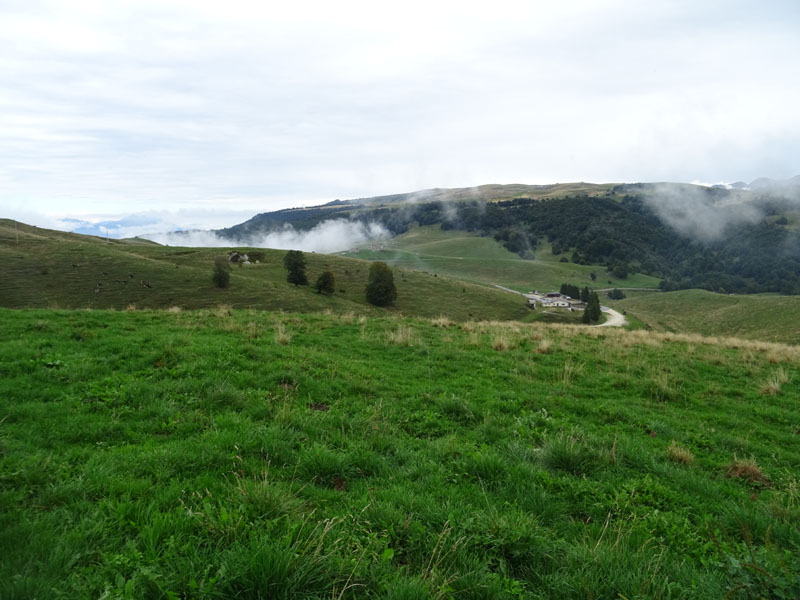 I grandi faggi di Malga Braetta - Lessinia (VR)